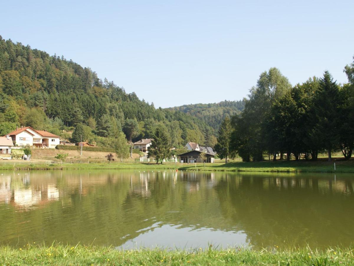 Charming Chalet In Ventron With Terrace 部屋 写真